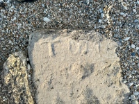 Tom. Chicago lakefront stone carvings, between 45th Street and Hyde Park Blvd. 2024