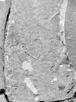 Heart. Chicago lakefront stone carvings, between 45th Street and Hyde Park Blvd. 2019