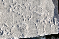 Marine Corps eagle and globe, AL, detail. Chicago lakefront stone carvings, between 45th Street and Hyde Park Blvd. 2021