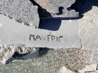 Maverick. Chicago lakefront stone carvings, between 45th Street and Hyde Park Blvd. 2018