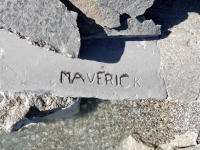 Maverick. Chicago lakefront stone carvings, between 45th Street and Hyde Park Blvd. 2018 Maverick. Chicago lakefront stone carvings, between 45th Street and Hyde Park Blvd. 2018