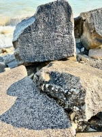 57. Chicago lakefront stone carvings, between 45th Street and Hyde Park Blvd. 2023