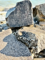 57. Chicago lakefront stone carvings, between 45th Street and Hyde Park Blvd. 2023 57. Chicago lakefront stone carvings, between 45th Street and Hyde Park Blvd. 2023