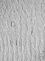 G, I Lov, detail. Chicago lakefront stone carvings, between 45th Street and Hyde Park Blvd. 2018 G, I Lov, detail. Chicago lakefront stone carvings, between 45th Street and Hyde Park Blvd. 2018