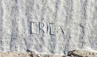 Erica, now partially obscured. Chicago lakefront stone carvings, between 45th Street and Hyde Park Blvd. 2018 Erica, now partially obscured. Chicago lakefront stone carvings, between 45th Street and Hyde Park Blvd. 2018