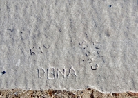 1967, Kay, Dana, Chris. Chicago lakefront stone carvings, between 45th Street and Hyde Park Blvd. 2018