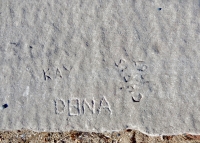 1967, Kay, Dana, Chris. Chicago lakefront stone carvings, between 45th Street and Hyde Park Blvd. 2018 1967, Kay, Dana, Chris. Chicago lakefront stone carvings, between 45th Street and Hyde Park Blvd. 2018