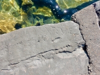 Steve, YL. Chicago lakefront stone carvings, between 45th Street and Hyde Park Blvd. 2019