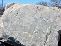 Ted, Whitey, others. Chicago lakefront stone carvings, between 45th Street and Hyde Park Blvd. 2018