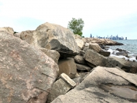 Morgan Shoal shoreline, between 45th Street and Hyde Park Blvd. 2019