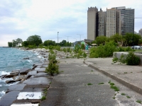 Morgan Shoal shoreline, between 45th Street and Hyde Park Blvd. 2019