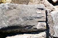 Hand. Chicago lakefront stone carvings, between 45th Street and Hyde Park Blvd. 2020