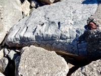 Soul Knowledge. Chicago lakefront stone carvings, between 45th Street and Hyde Park Blvd. 2018