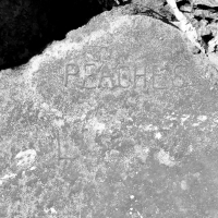 Peaches. Chicago lakefront stone carvings, between 45th Street and Hyde Park Blvd. 2020