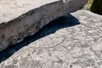 Mostly hidden heart. Chicago lakefront stone carvings, between 45th Street and Hyde Park Blvd. 2020