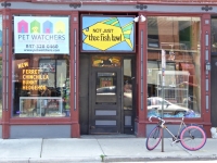 Not Just Thee Fish Bowl, Evanston, Illinois. In case you thought it was just a ye olde fishbowl Not Just Thee Fish Bowl, Evanston, Illinois. In case you thought it was just a ye olde fishbowl