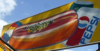 Hot dog and Pepsi, Street Food Vendor sign art, National Mall, Washington D.C.