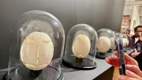 Carved ostrich eggs at Norman Brosterman
