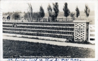 Henry Stephens' Bottle Fence, Waters, Michigan, postcard