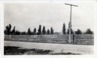 Henry Stephens' Bottle Fence, Waters, Michigan, postcard