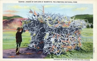 Color view of House of Antlers, Yellowstone National Park, postcard Color view of House of Antlers, Yellowstone National Park, postcard