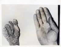 Corn cob in the shape of a hand, Hornbeak, Tennessee, press photo Corn cob in the shape of a hand, Hornbeak, Tennessee, press photo