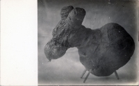 Potato creature postcard Potato creature postcard
