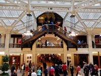 Rookery atrium