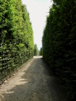 Versailles