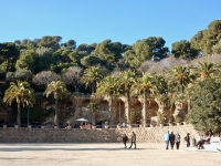 Long view of pillars and trees, Antoni Gaudí's Park Güell, Barcelona, Spain