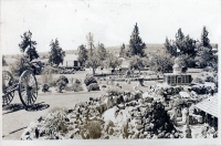 Peterson's Rock Garden, between Bend and Redmond, Oregon, postcard