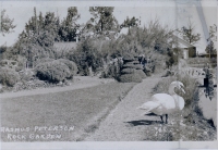 Peterson's Rock Garden, between Bend and Redmond, Oregon, postcard