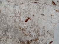 Graffitti of a lute in Plas Mawr, Elizabethan town house in Conwy, Wales