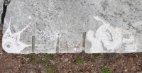 Complex pattern, profile, signed Cosmo (Joel Cardenas). Chicago lakefront stone carvings, Promontory Point. 2025