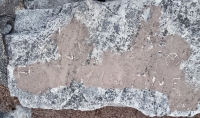 Free Palestine, peace symbol, scooter. Chicago lakefront stone carvings, Promontory Point. 2025