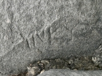 Yivpoy(?) (detail). Chicago lakefront stone carvings, Promontory Point. 2025