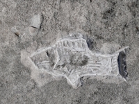 Abstract kissing fish, fish (detail). Made at the June 20, 2026, DIY carving workshop. Chicago lakefront stone carvings, Promontory Point. 2026