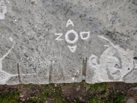 Cosmo signature, initials, face. Chicago lakefront stone carvings, Promontory Point. 2026