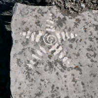 Star pattern. Made at the June 20, 2026, DIY carving workshop. Chicago lakefront stone carvings, Promontory Point. 2026