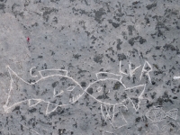 Peace symbol, heart, kissing fish, JC, PL, EB, crab, fish, LVR (detail), L in a sun, K+D. Made at the June 20, 2026, DIY carving workshop. Chicago lakefront stone carvings, Promontory Point. 2026