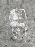 Cat face, monstrous face (detail), smiley sun. Made at the June 20, 2026, DIY carving workshop. Chicago lakefront stone carvings, Promontory Point. 2026