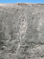 Leaf, underneath nativity scene. Made at the June 20, 2026, DIY carving workshop. Chicago lakefront stone carvings, Promontory Point. 2026