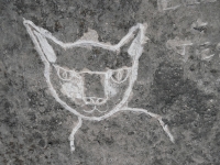 Cat face. Made at the June 20, 2026, DIY carving workshop. Chicago lakefront stone carvings, Promontory Point. 2026
