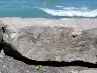 Two faces, alien and human, and an eyeball. Made at the June 20, 2026, DIY carving workshop. Chicago lakefront stone carvings, Promontory Point. 2026