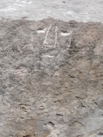 Face. Made at the June 20, 2026, DIY carving workshop. Chicago lakefront stone carvings, Promontory Point. 2026