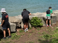 Citizen carvers at work at Promontory Point, June 2026
