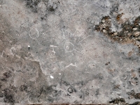 Bird. Made at the June 20, 2026, DIY carving workshop. Chicago lakefront stone carvings, Promontory Point. 2026