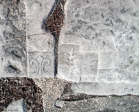 Symbol and leaves. Chicago lakefront stone carvings, Promontory Point, Hyde Park. 2005