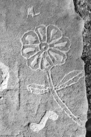 Flower, AL, made during the Oct. 9, 2022, Promontory Point carving workshop. Chicago Lakefront stone carvings, Promontory Point. 2022