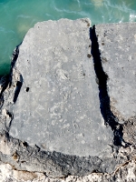 Bathing beauty from behind, Ducth, Hank, Duke, others. Level 1. Chicago lakefront stone carvings, Promontory Point. 2018